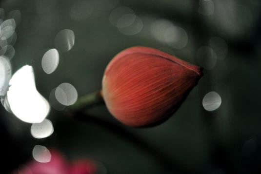 Vortragstraining und Freude beim Sprechen durch Sprechcoaching Lockerungsübungen und mit Spaß Herausforderungen angehen