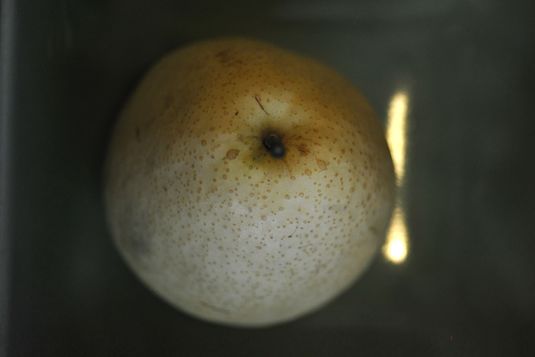 Karrierecoaching: persönliche Stärken und Schwächen in der Führung und Kommunikation Mit Disziplin, Herz und Empathie Mitarbeiter führen und sich als Führungskraft weiterentwickeln